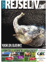 Rejseliv - e-avis - 04-12-2010