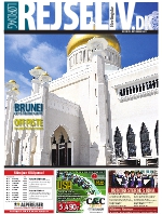 Rejseliv - e-avis - 08-01-2011