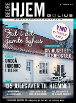 Download publikationen