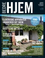 Download publikationen
