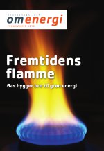 Download publikationen