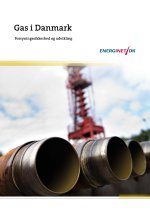 Download publikationen