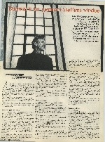Danmark set gennem steffens vindue