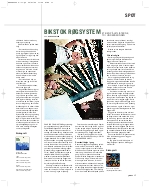Bikstok røgsystem