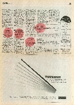 1987