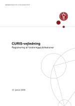 Download publikationen