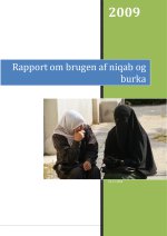 Download publikationen