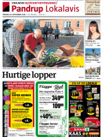 Lokalavisen Sydvestvendsyssel