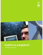 Download publikationen