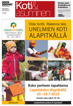 Näköislehteen