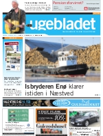 Download publikationen