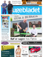Download publikationen