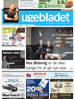 Download publikationen