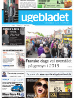 Download publikationen