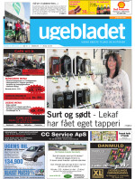 Download publikationen