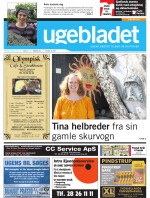 Download publikationen