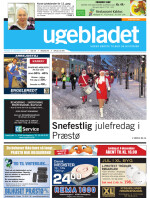 Download publikationen