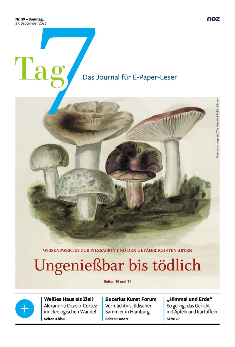 Delmenhorster Kreisblatt - 27.09.2026