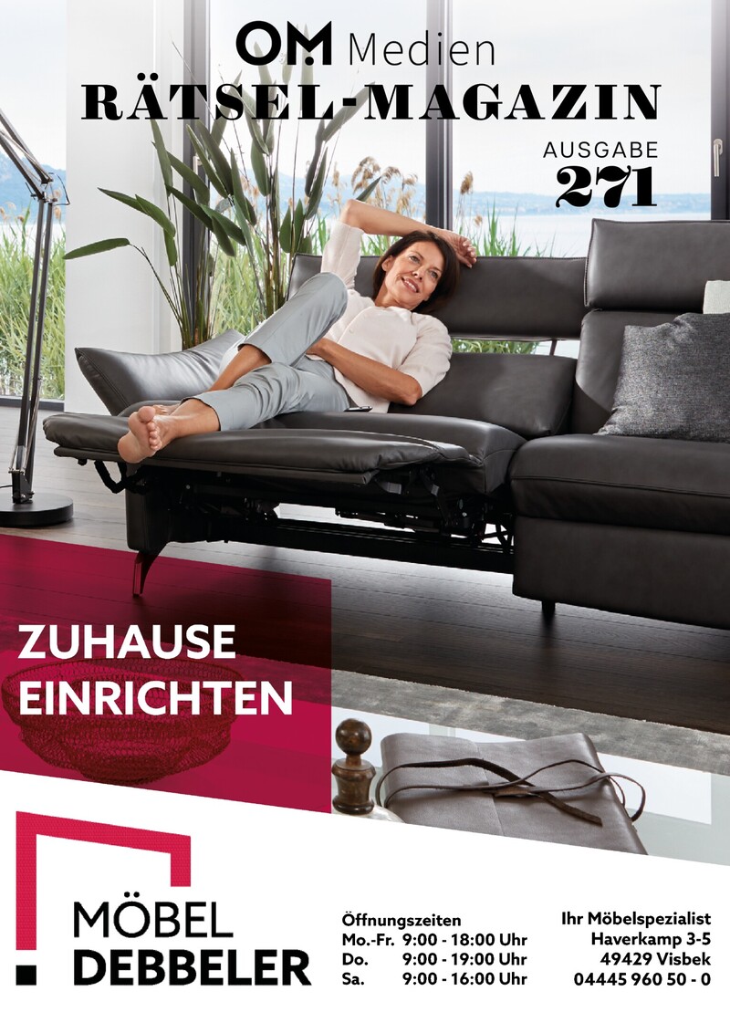 Rätsel 271 Cover