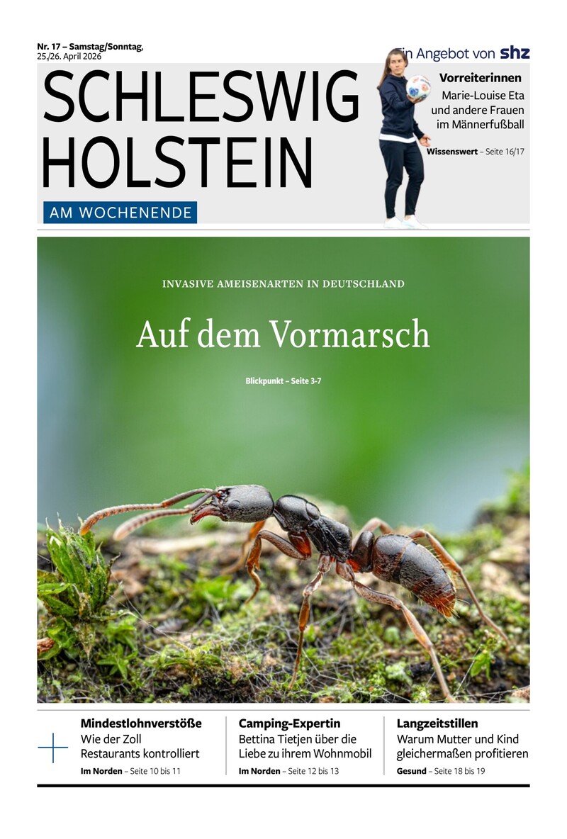 SH am Wochenende Cover